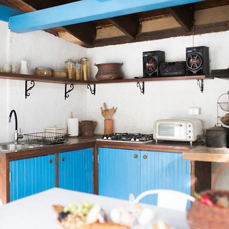 Willa Fairy Of Velebit Unique Countryside House Posedarje Zewnętrze zdjęcie